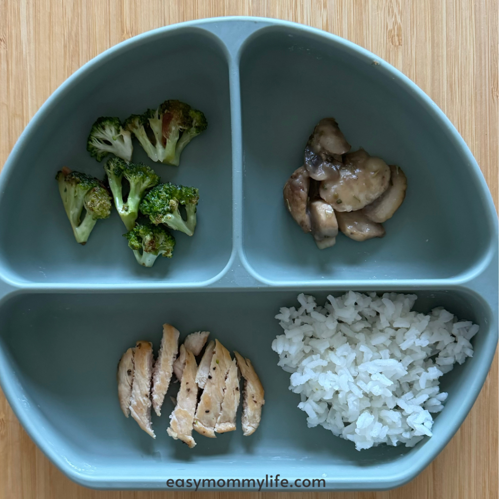 Stir fried chicken and rice