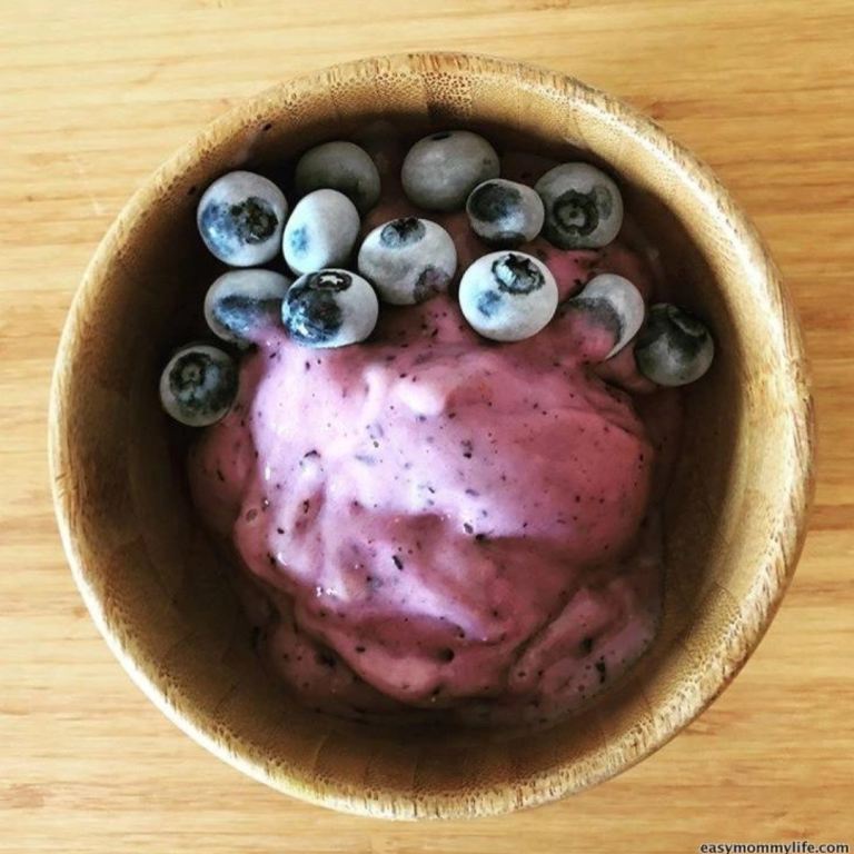 blueberry ice cream for babies