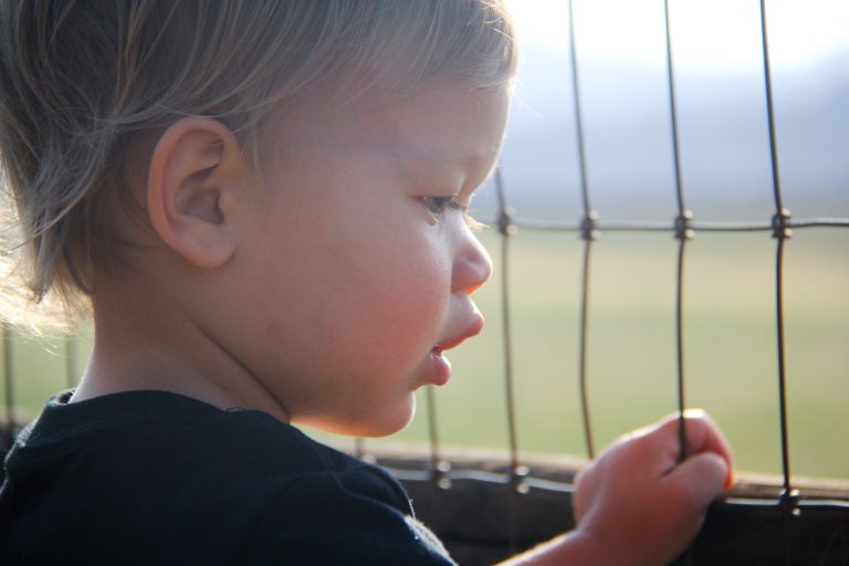 how to get your toddler to listen