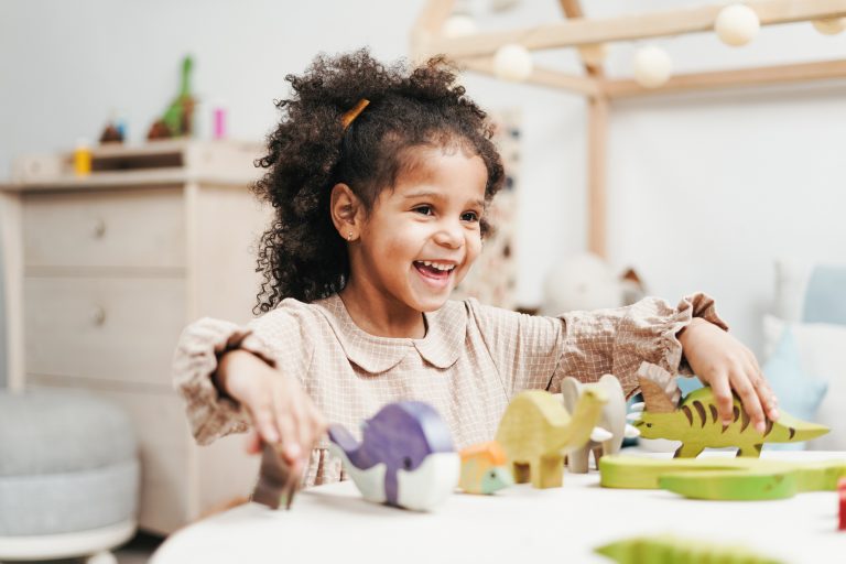 independent play-open-ended toys